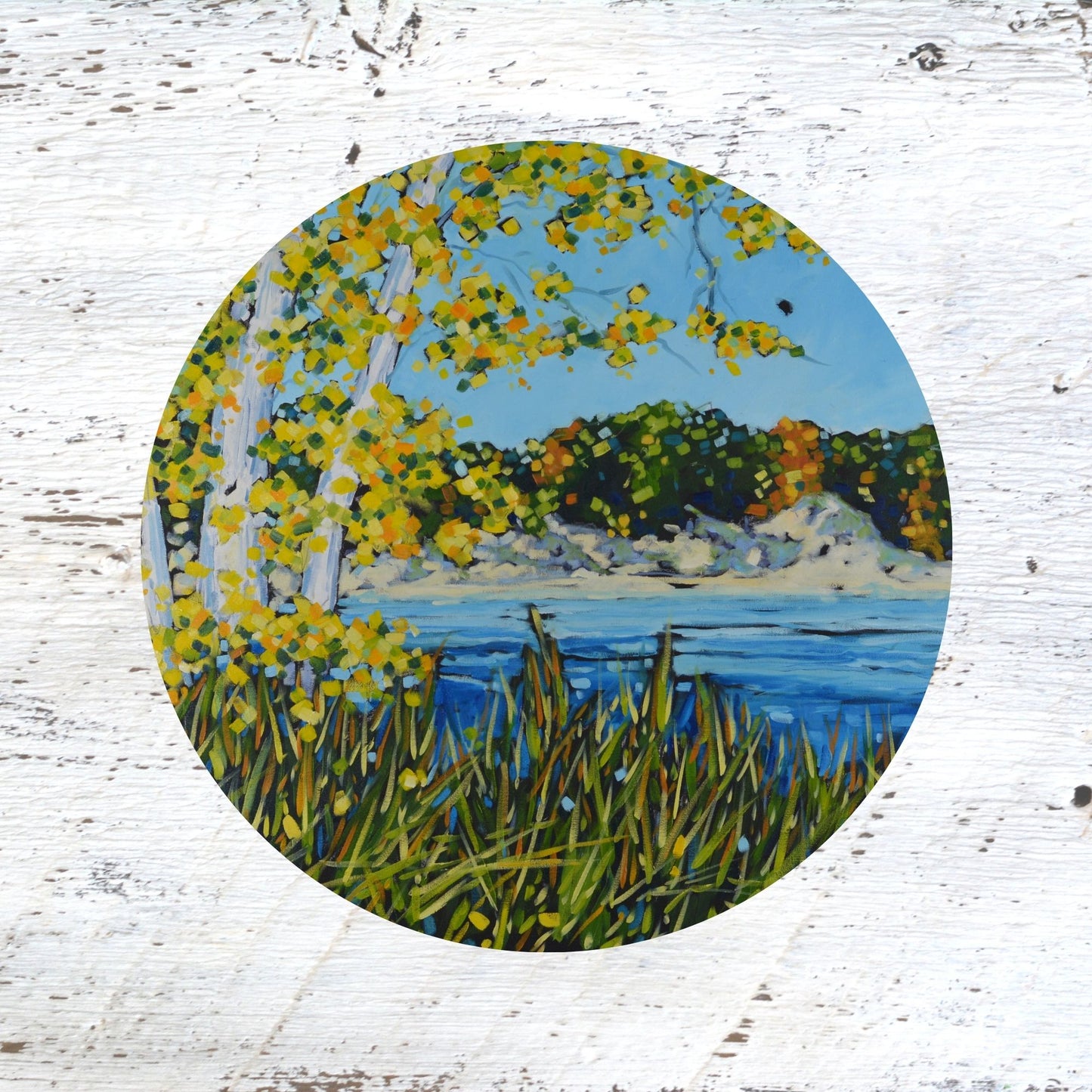 Rubber Grip Jar Opener -The Magic Hour of Autumn at Ottawa Sands