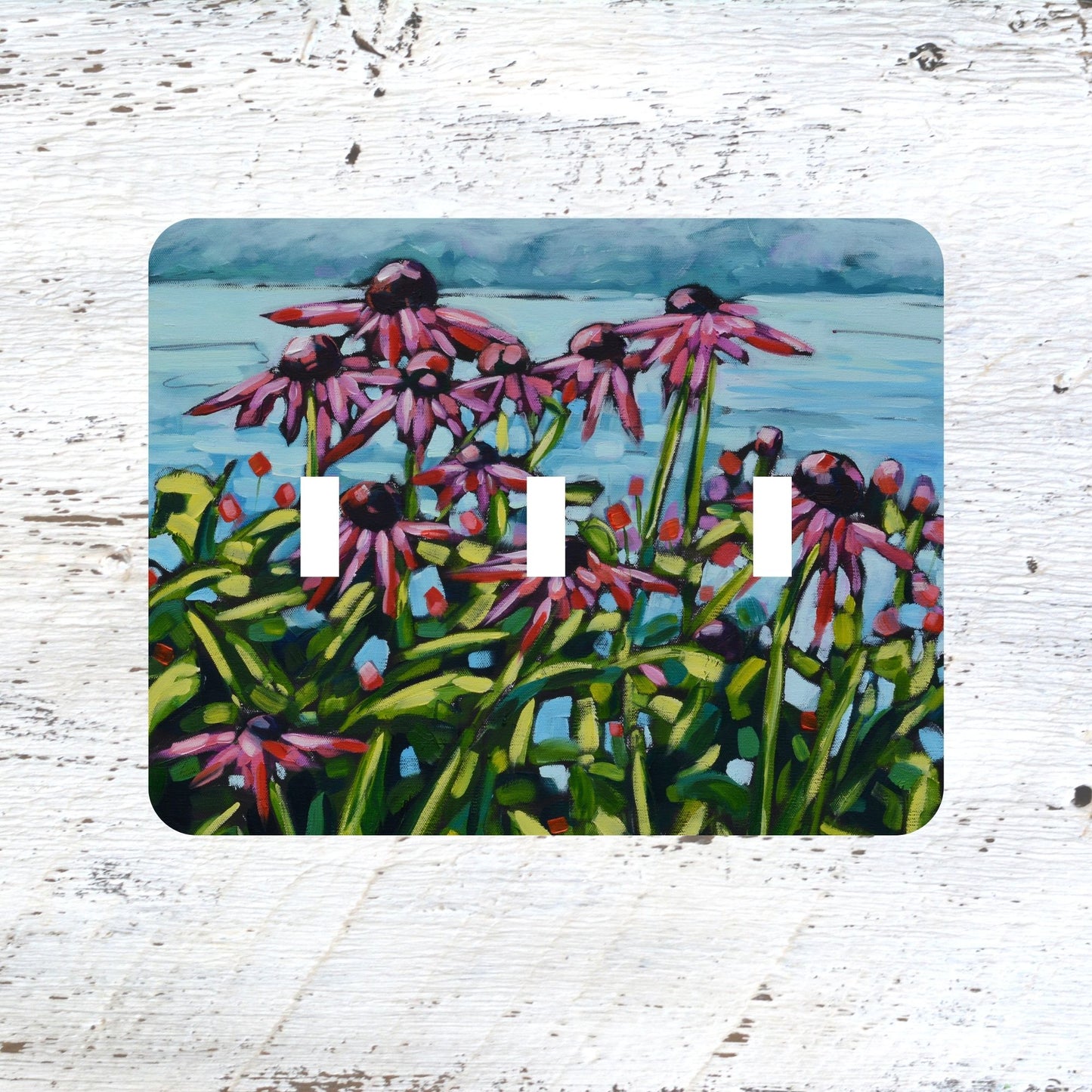 Switch Plates: "Natures Secret" Purple Pink Coneflowers
