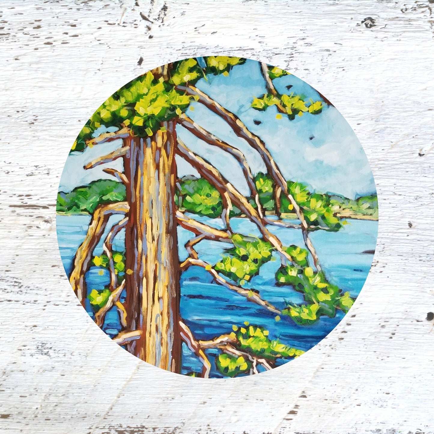 Rubber Grip Jar Opener - Pine Views. Lake.