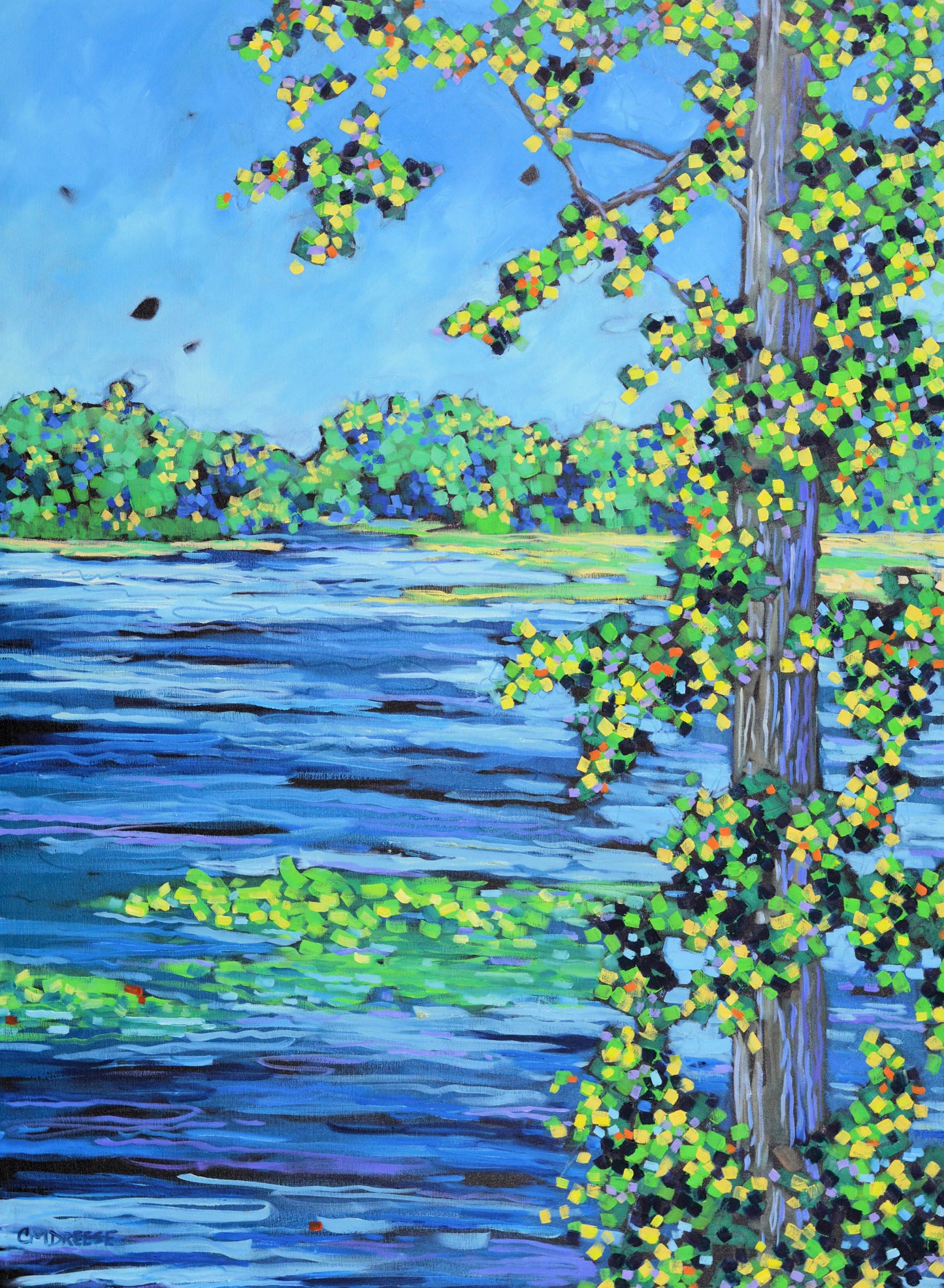 "Grand River Waterway" Oil Painting on Canvas. Artist Christi Dreese