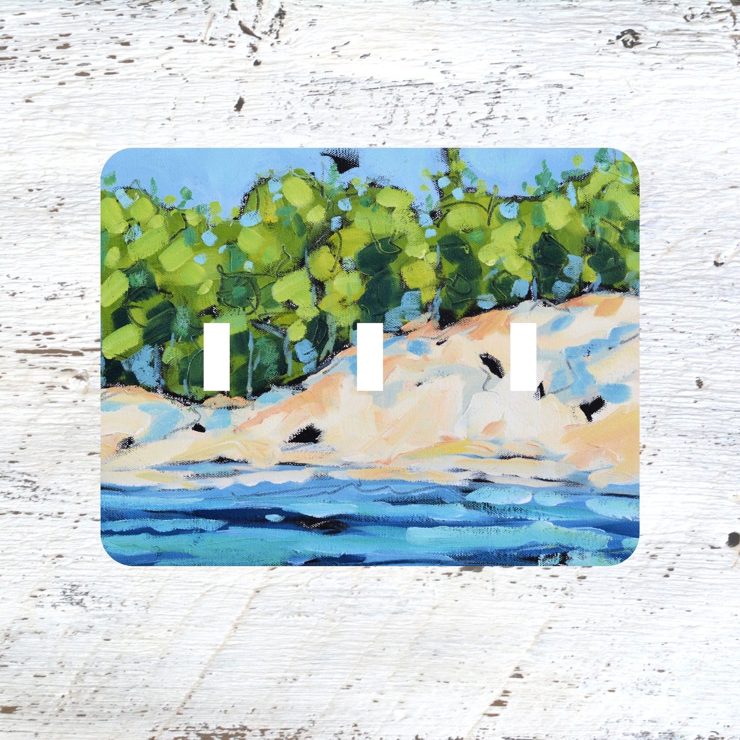 Switch Plates: "Driftwood Cove"