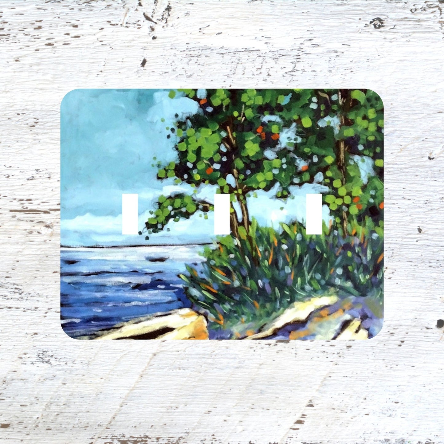 Switch Plates: "Lakeside Escape"