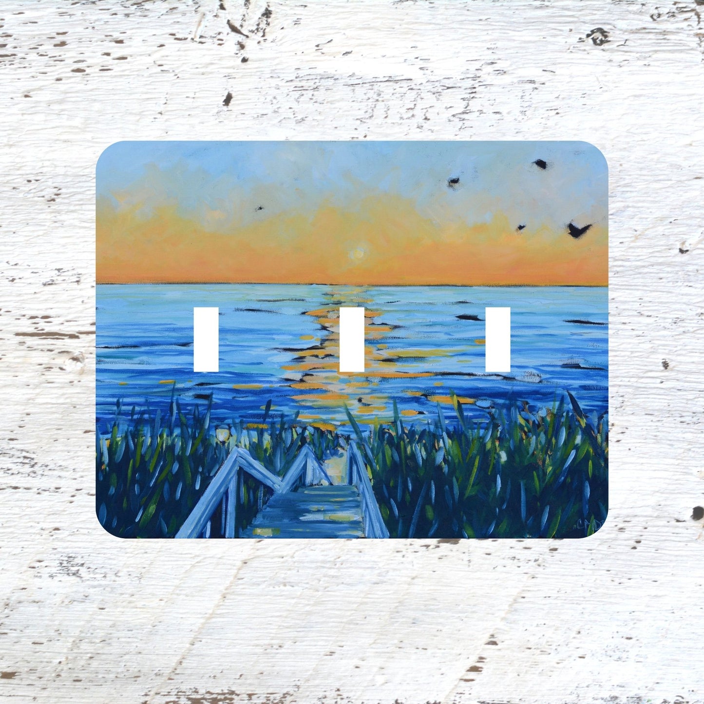 Switch Plates: "Life is Short and the World is Wide"