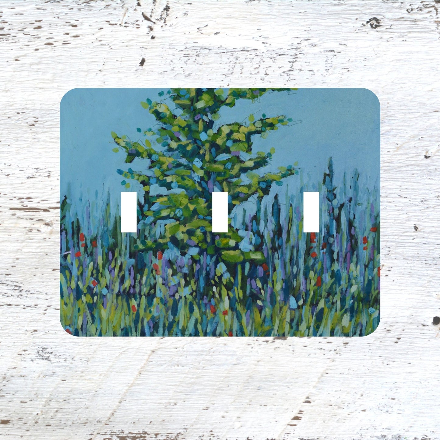 Switch Plates: "Still Waters, Wild Spirit"