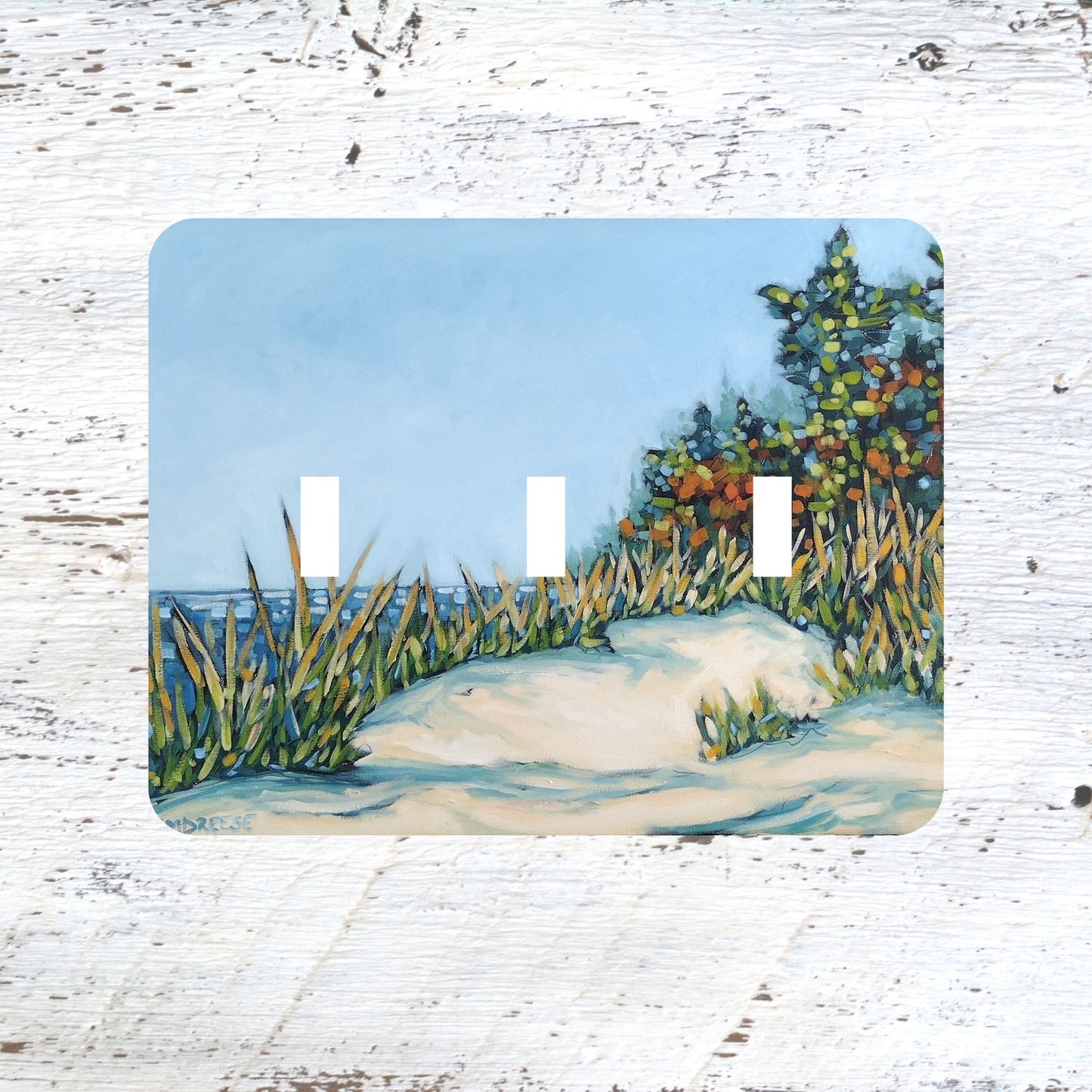 Switch Plates: "The Magic Hour of Autumn II"