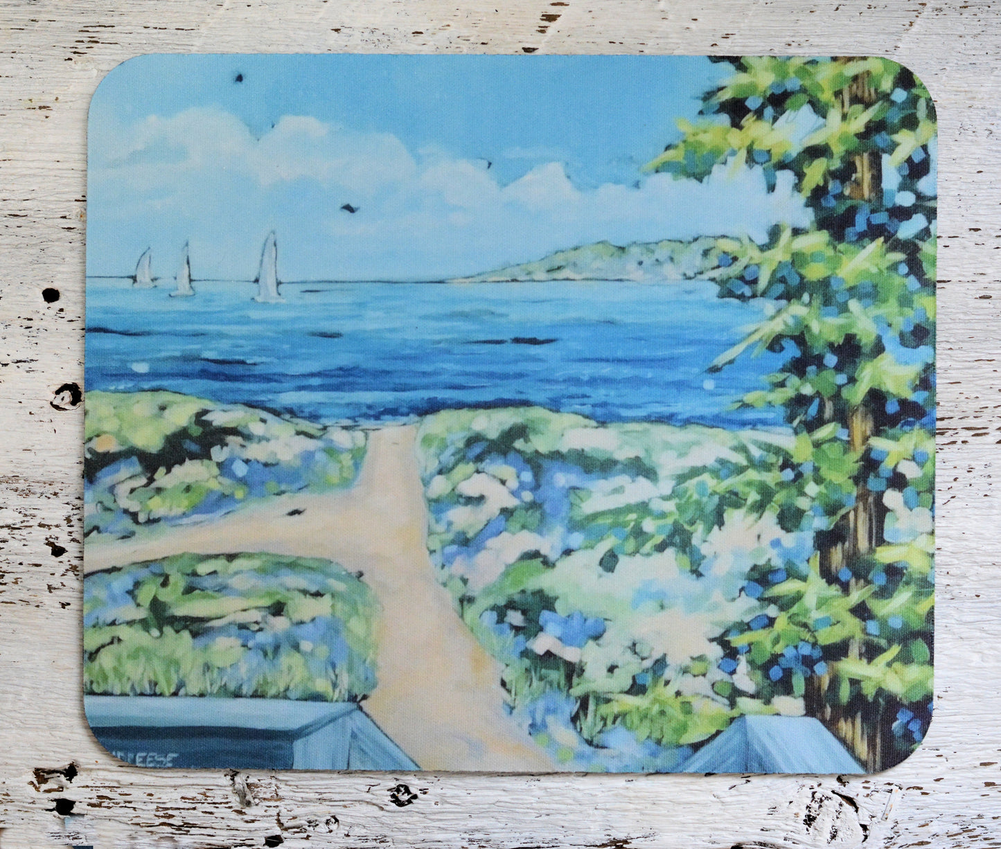 Mousepad: Beach Path.