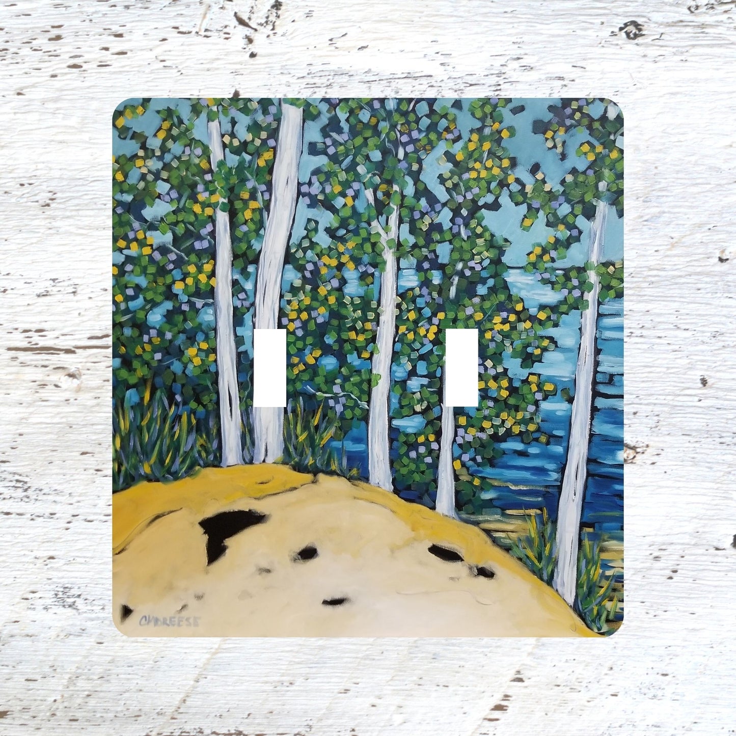 Switch Plates: "Rolling Woodlands" Sand Dunes Woods Birch Trees Lake