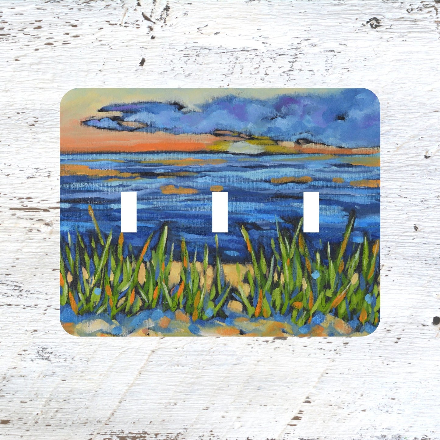 Switch Plates: "Reset at Sunset" Sunset Beach Lake