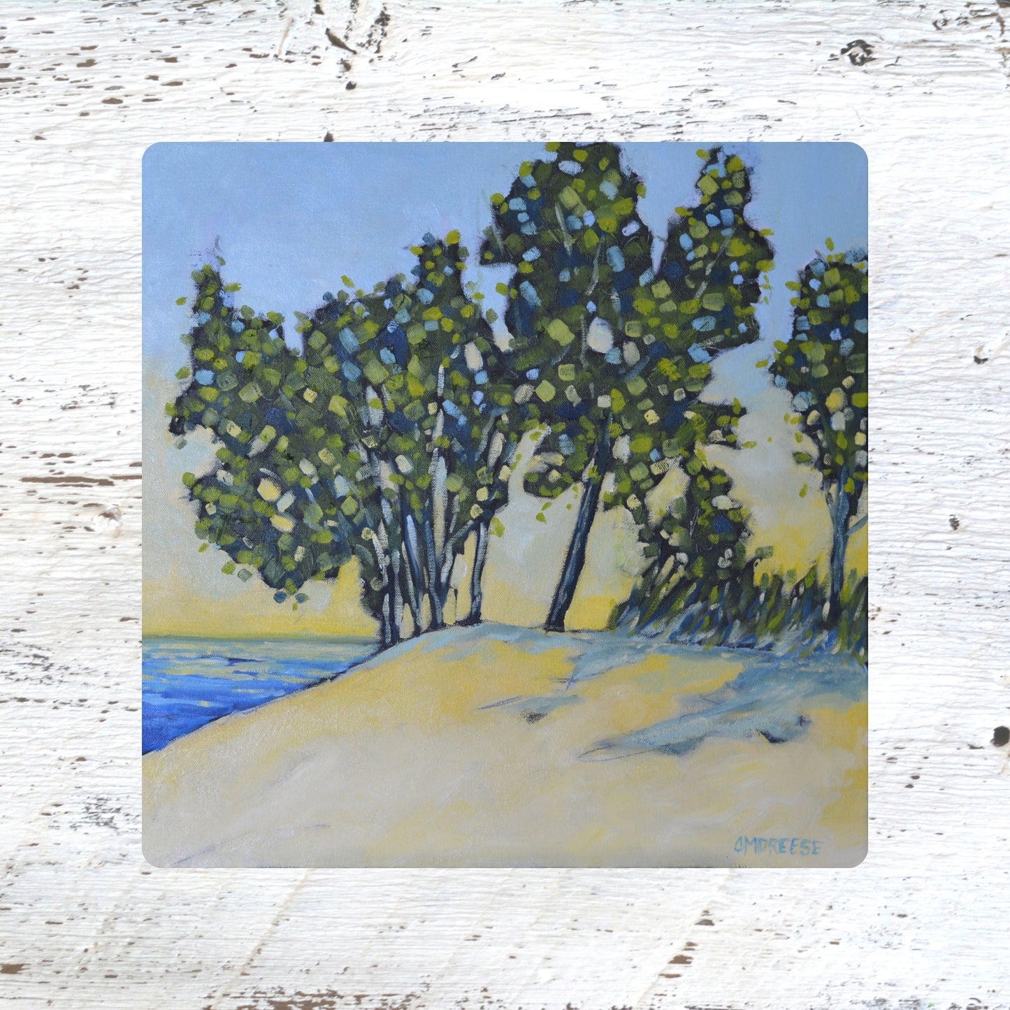 Art Coasters, Trivets & Magnets- Rooted in Calm| Beach Trees