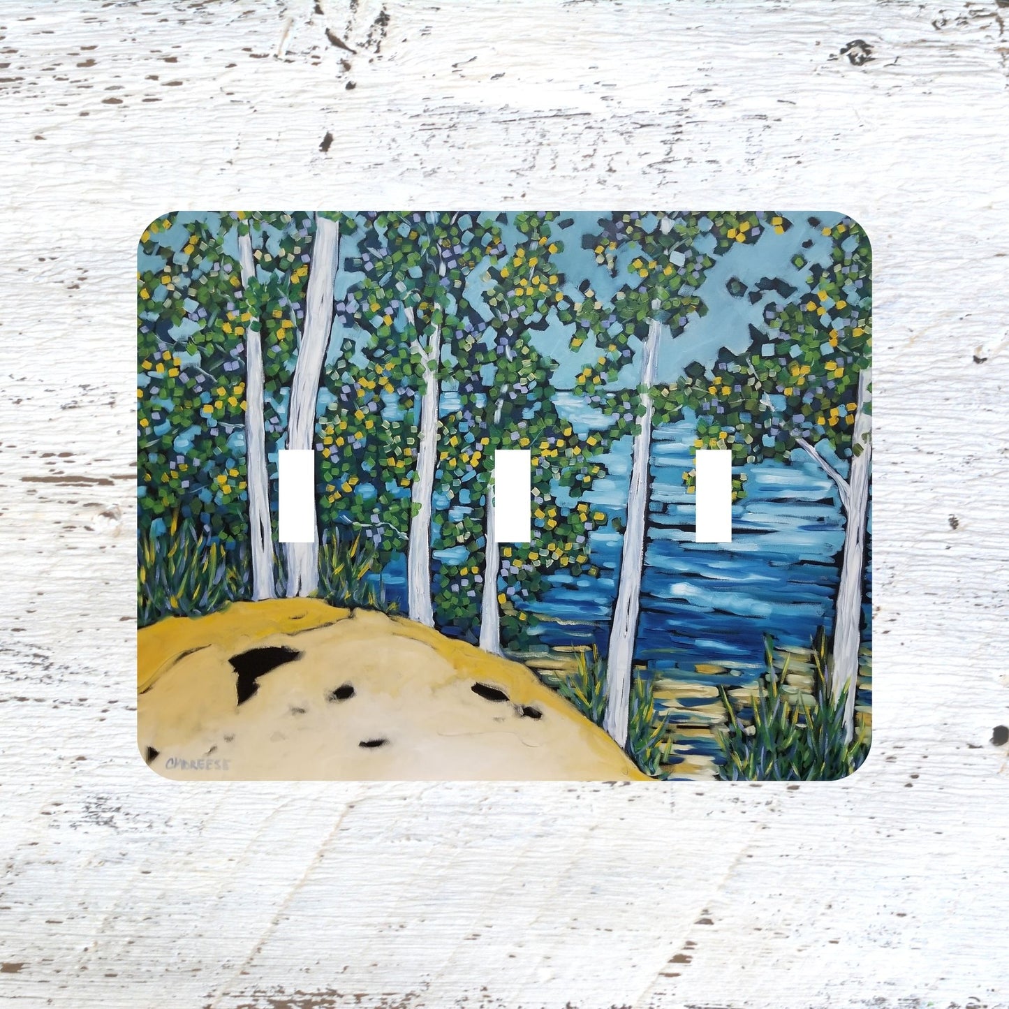 Switch Plates: "Rolling Woodlands" Sand Dunes Woods Birch Trees Lake