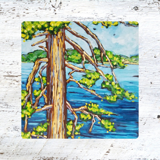 Coaster/ Trivet/ Magnet: Pine Views.