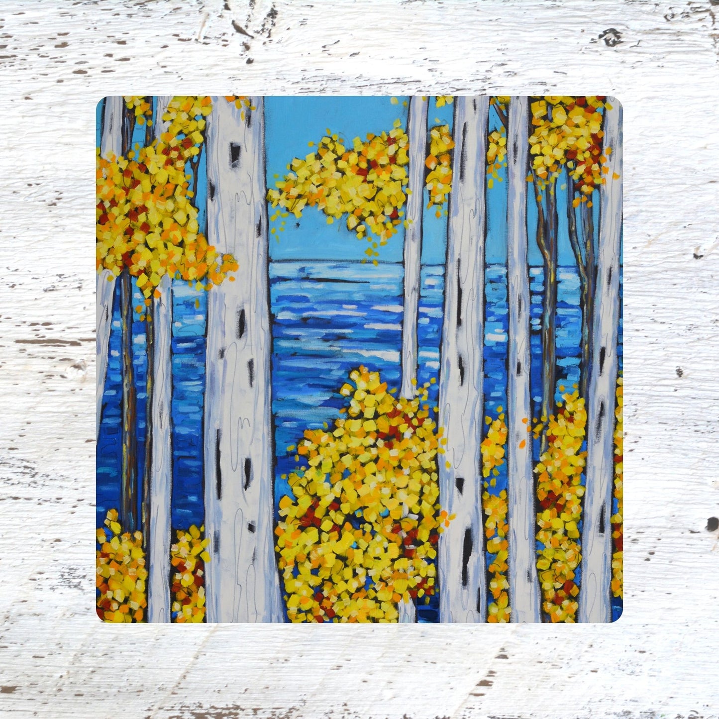 Coaster/ Trivet/ Magnet: Autumn Birch Trees