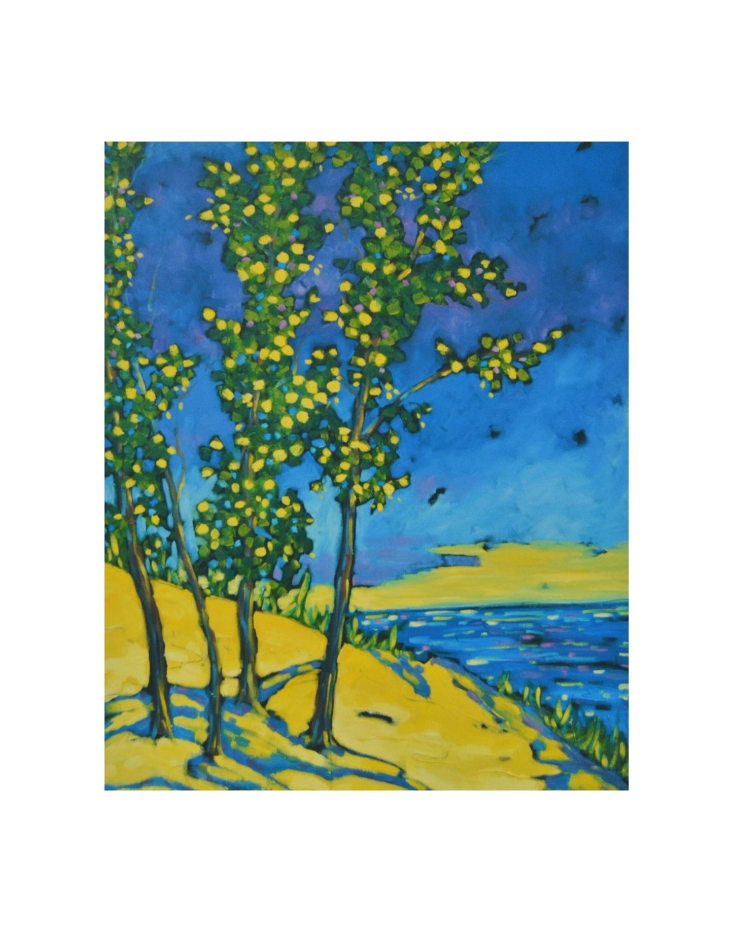 Lake Michigan Beach Trees Print - Matted Print on Paper 11x14