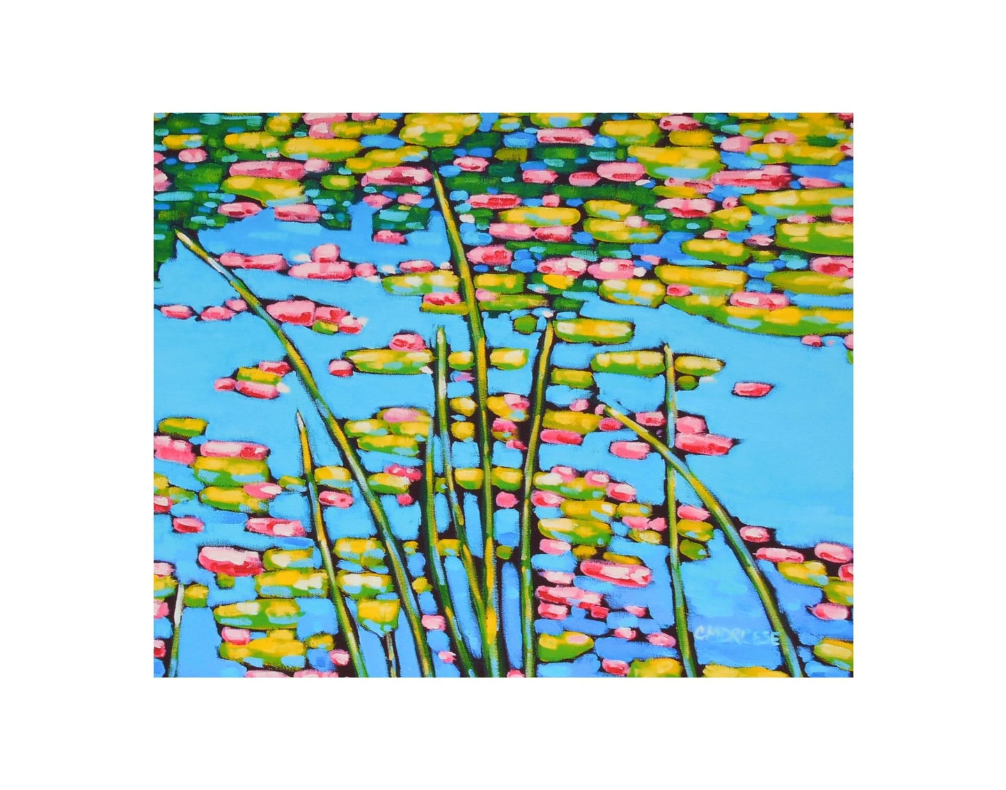 Waterlilies Print - Matted Print on Paper 11x14