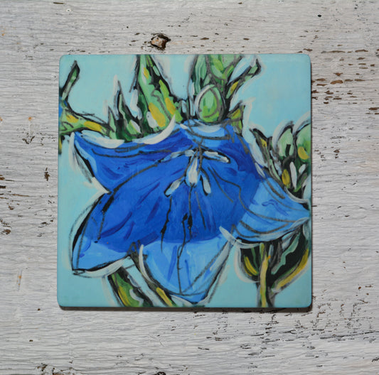 Coaster/ Trivet/ Magnet: Blue Bell