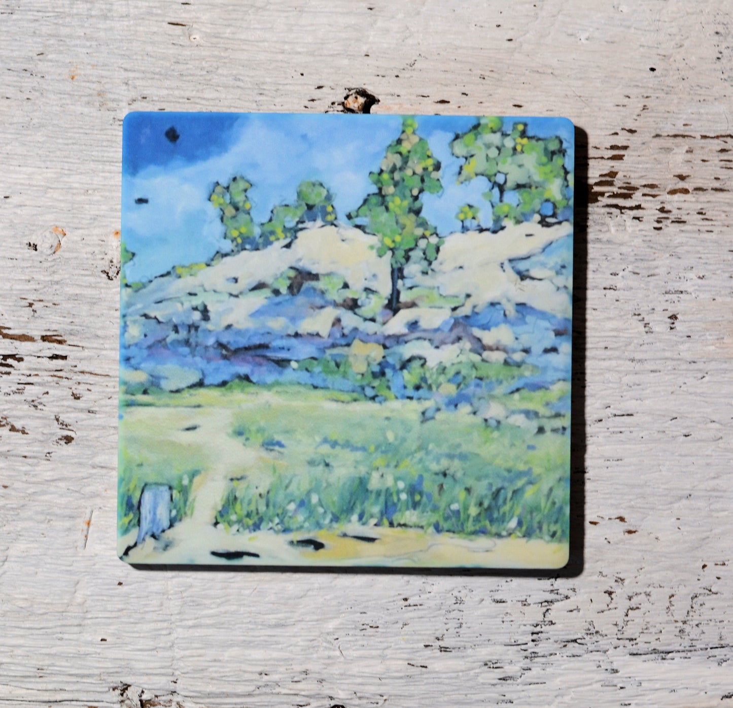 Coaster/ Trivet/ Magnet: Dear Beach, I Think About You All The Time