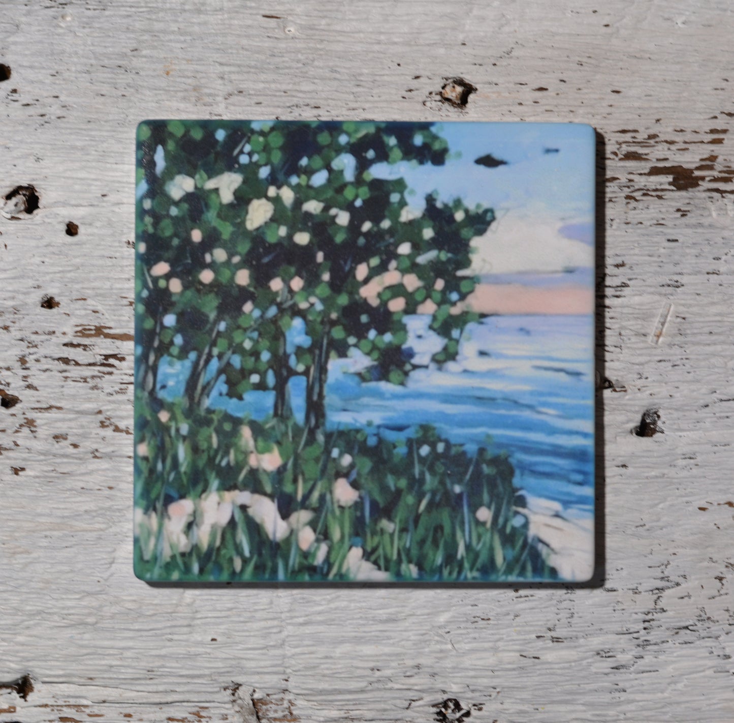Coaster/ Trivet/ Magnet: Something Magical, Summer Lake Sunset