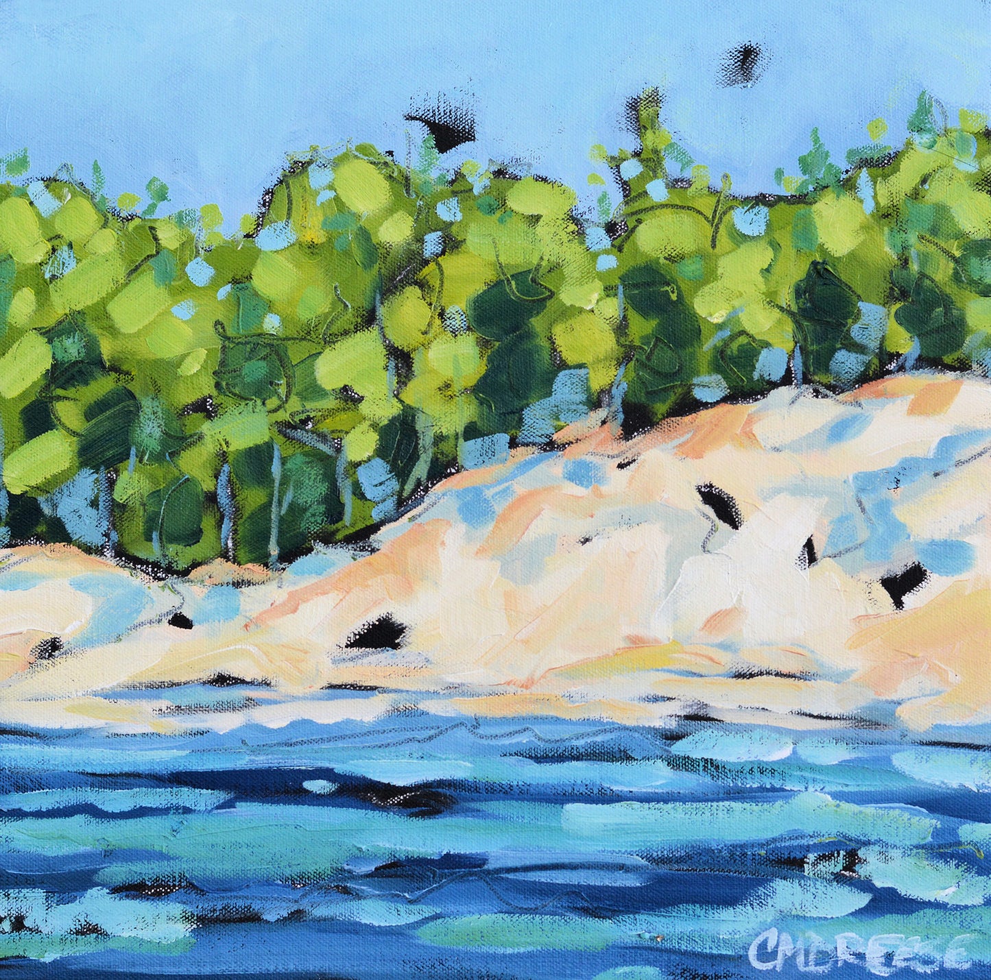 "Driftwood Cove" Original Oil Painting on Canvas, Artist Christi Dreese