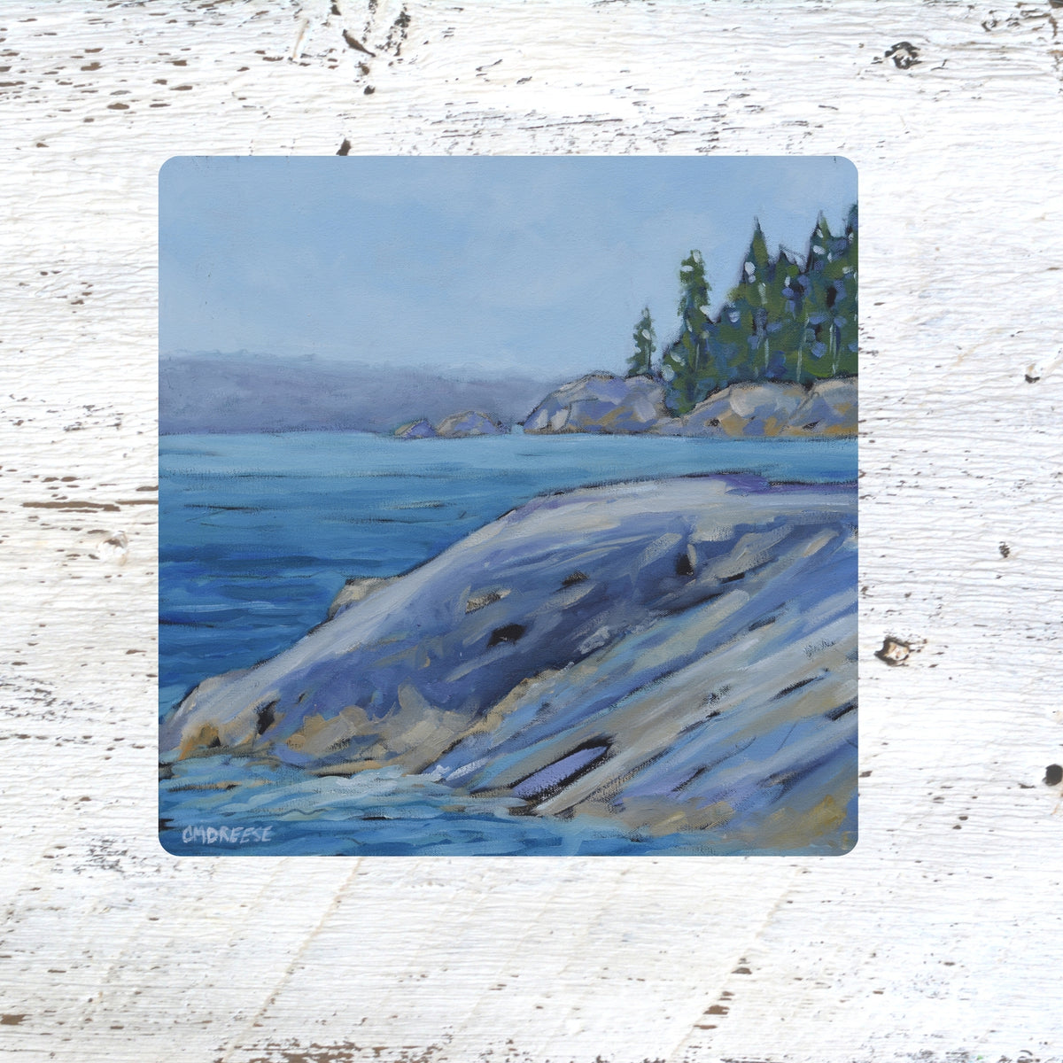 Art Coasters, Trivets & Magnets- Northern Stillness
