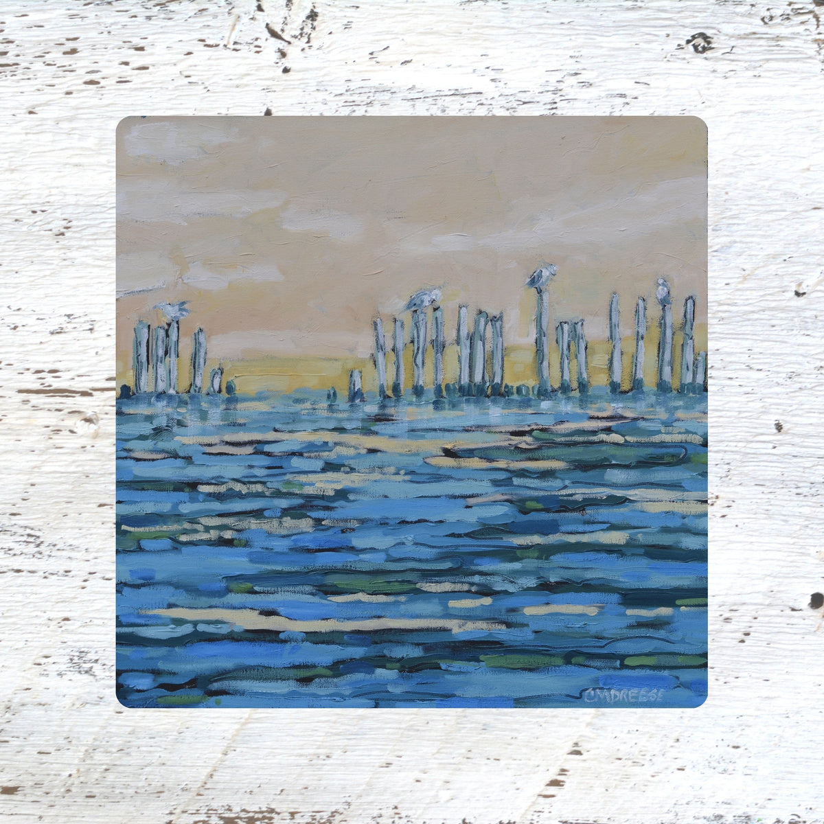 Art Coasters, Trivets & Magnets- Lake Watch | Seagulls