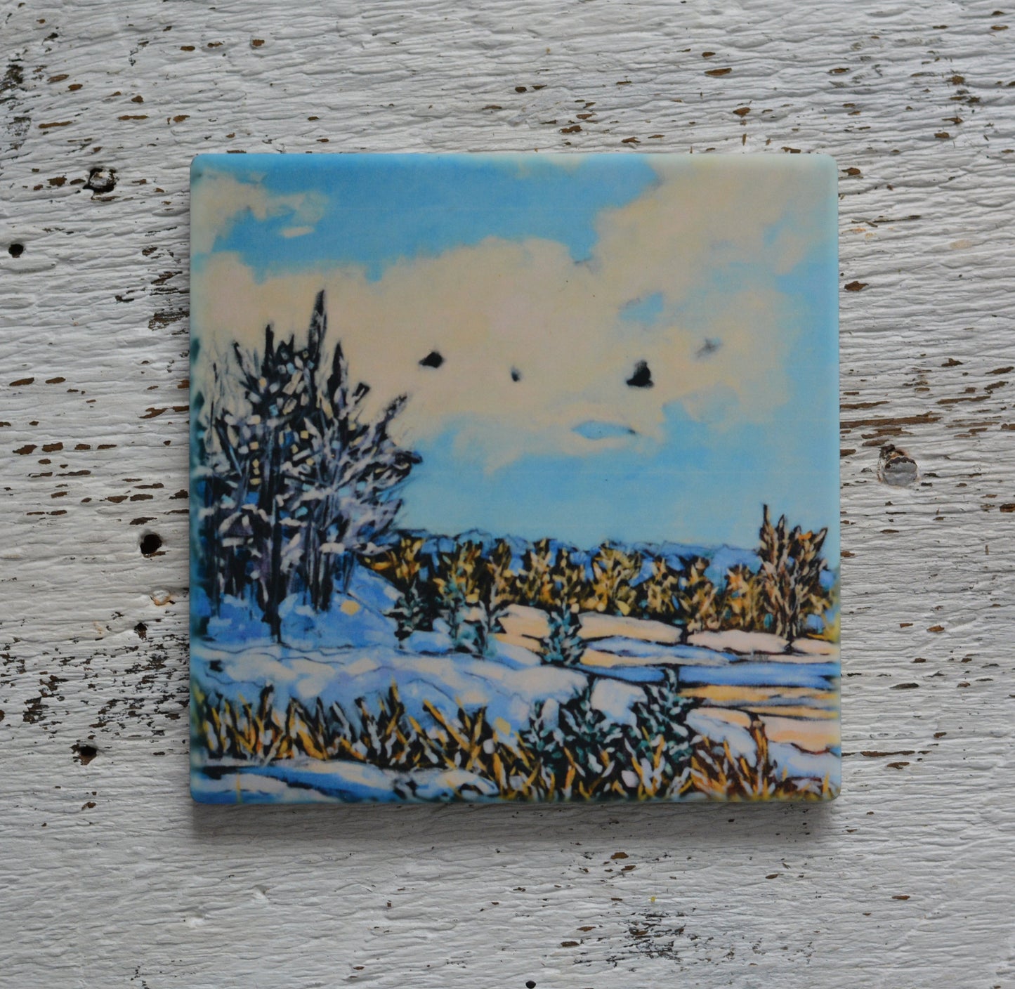 Coaster/ Trivet/ Magnet: Winter's Magic at Ottawa Sands