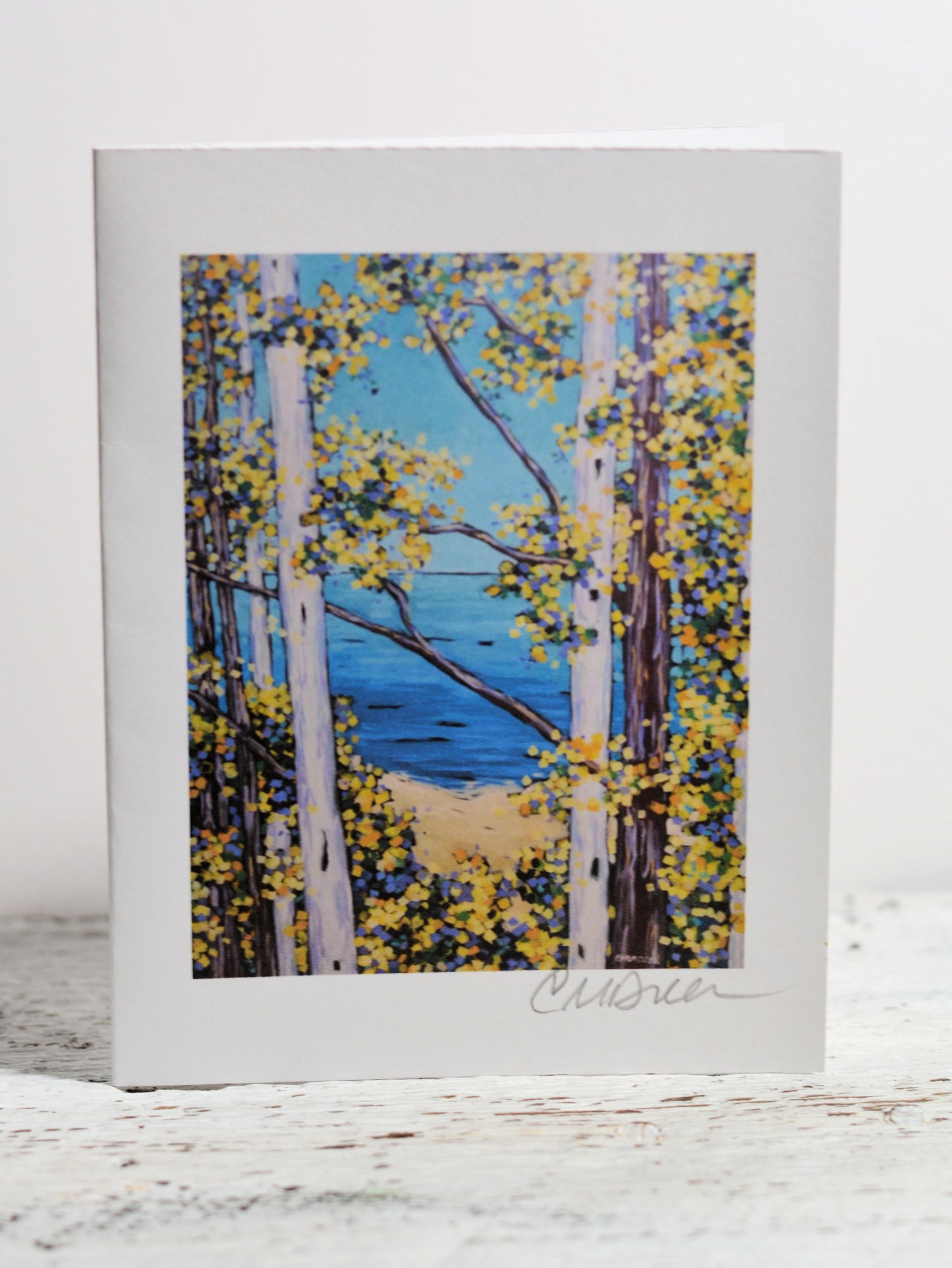 Notecards - Overlooking the Bluff, Birch Trees