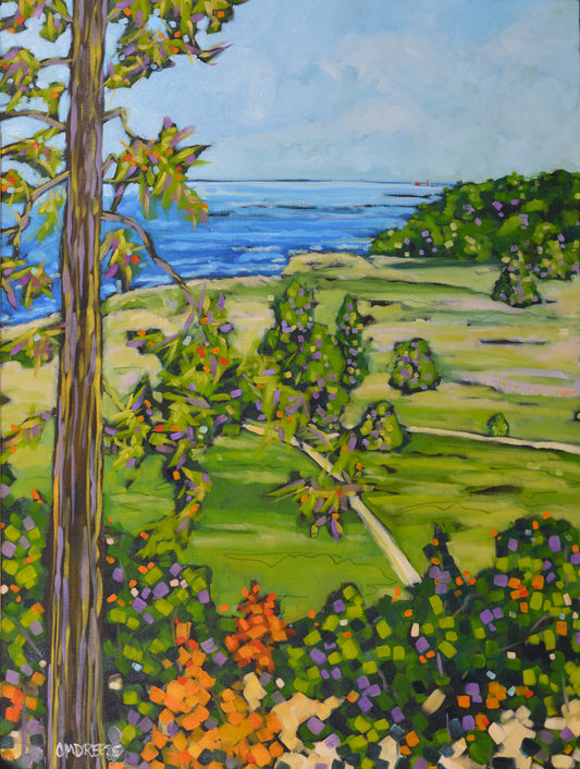 "On the Bluffs Overlooking Lake Michigan" Oil Painting on Canvas. Christi Dreese