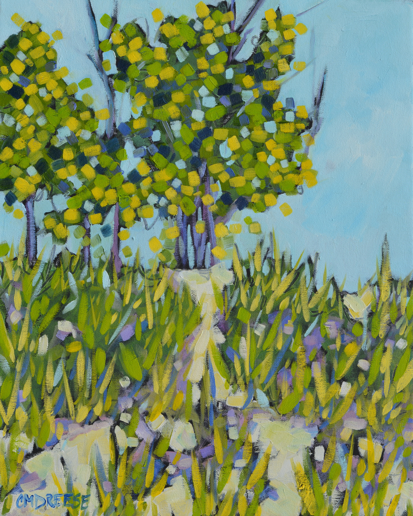 "A Path Along the Shoreline" Beach Print on Paper- Wall Art Home Decor
