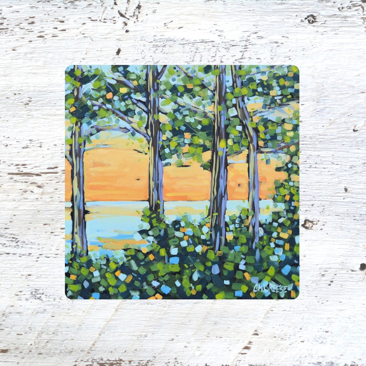 Coaster/ Trivet/ Magnet: Close the Day