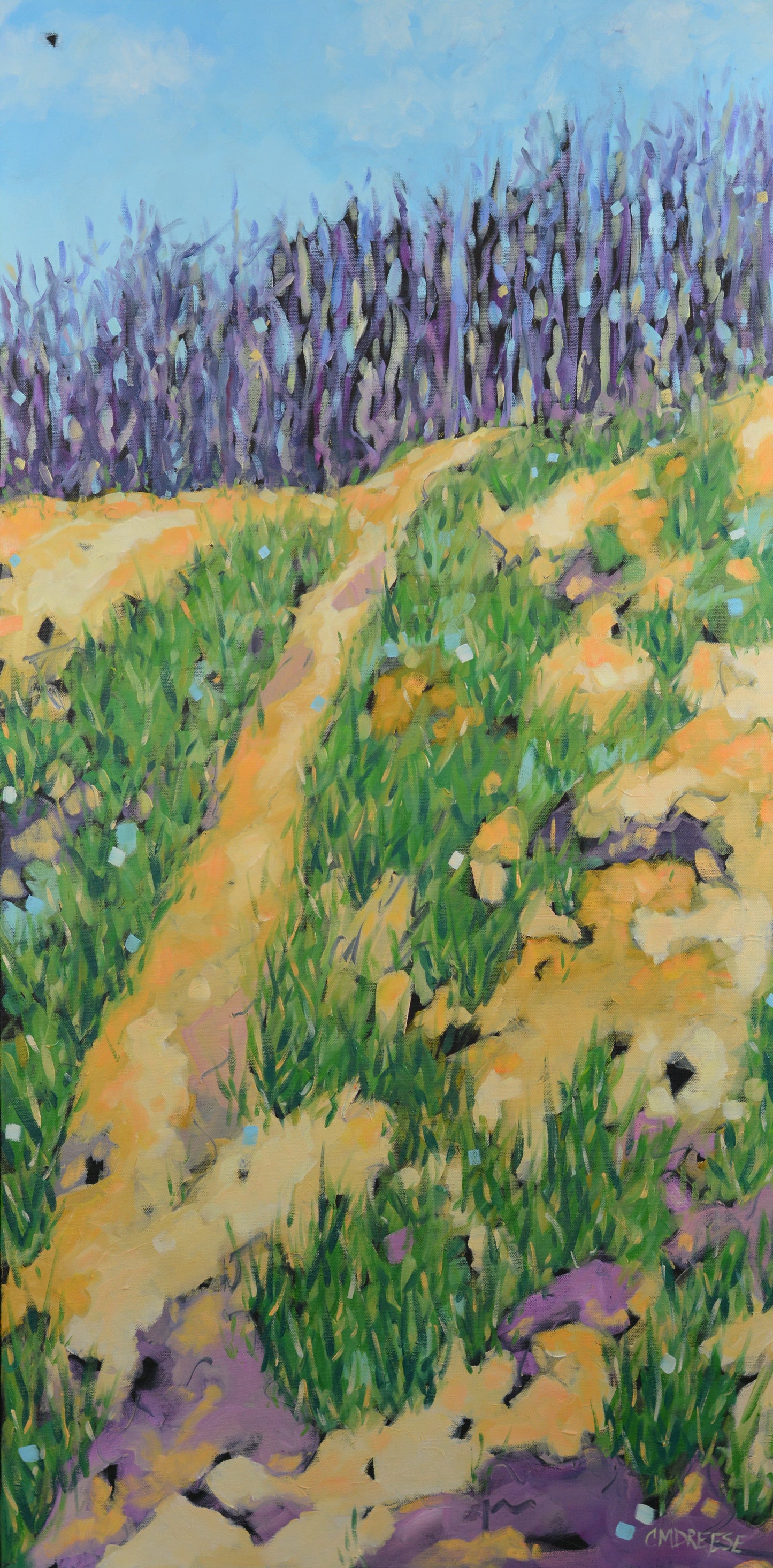 "Trails Amongst the Dunes" Oil Painting on Canvas. Artist Christi Dreese